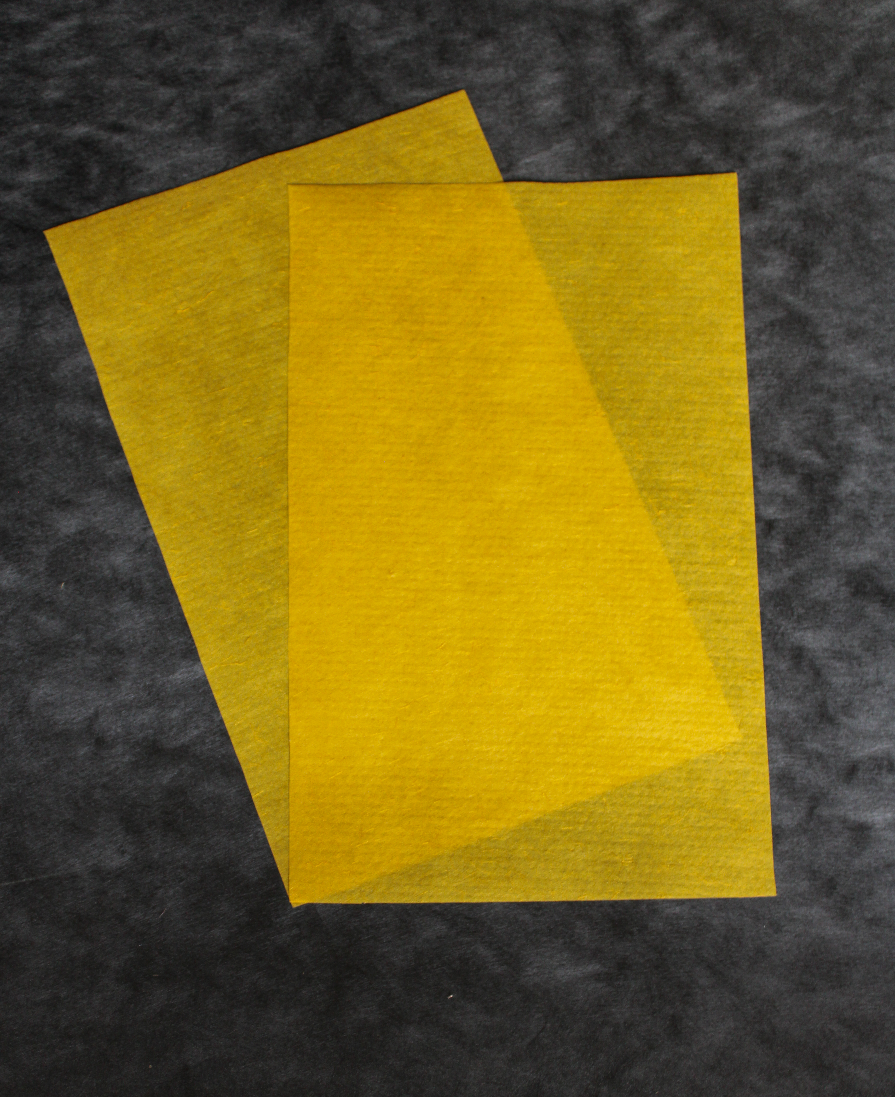 poly365 material
